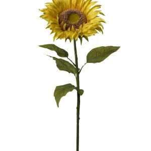 Fleurs Géantes